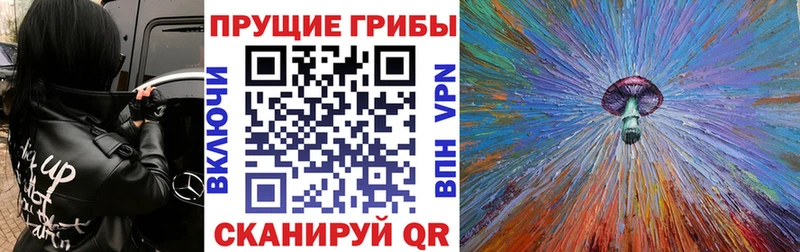 Купить закладки  Козловка  Псилоцибиновые грибы мухоморы 